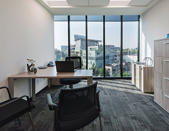 FUMIGADORES DE OFICINAS EN ALVARO OBREGON